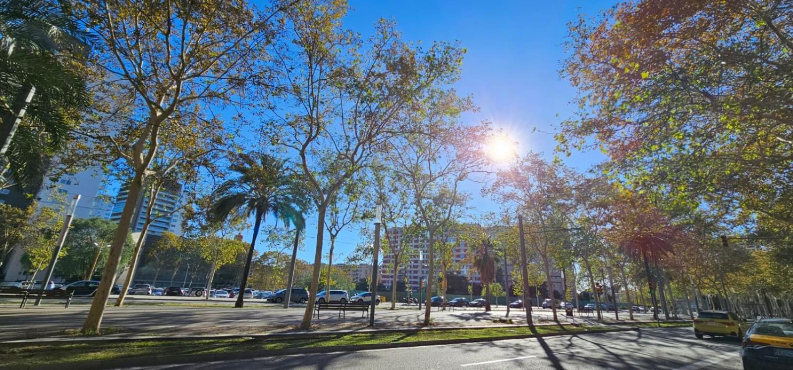 Minutes To The Beach, Near Convention Centre And Free Parking Barcelona Exterior foto